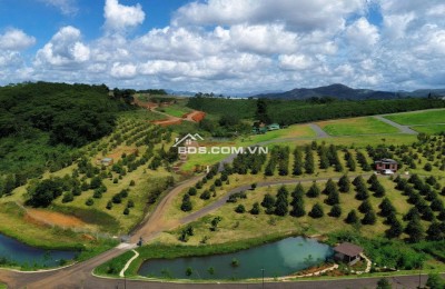 ĐẤT NỀN NGHỈ DƯỠNG FULL THỔ CƯ BẢO LỘC – GIÁ TỪ 1,35 TỶ/NỀN, SỔ HỒNG RIÊNG - VIEW ĐẸP